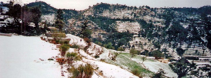 1334/Apical Resort - Bhimtal 07.jpg